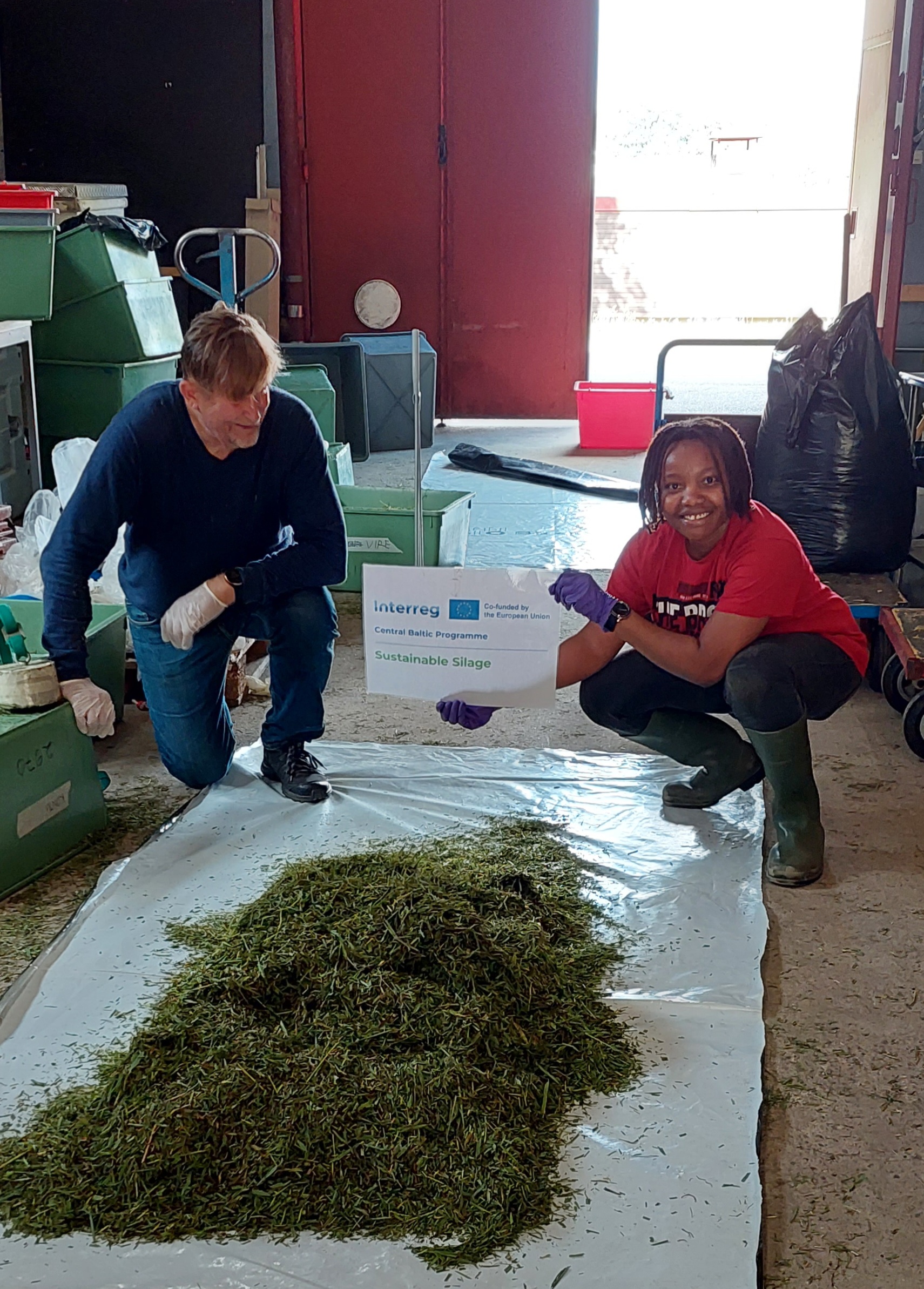 Divi projekta dalībnieki atrodas saimniecības telpā pie sasmalcinātas zāles parauga un tur zīmi ar tekstu “Interreg Central Baltic Programme – Sustainable Silage”. Apkārt redzamas kastes, aprīkojums un darba inventārs. Attēls ilustrē pētniecības un sadarbības projektu ilgtspējīgas skābbarības ražošanas jomā.