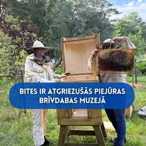 Divi cilvēki biškopju aizsargtērpos demonstrē medus kāri pie koka stropa brīvdabā. Virs attēla ir teksts: "Bites ir atgriezušās Piejūras brīvdabas muzejā".